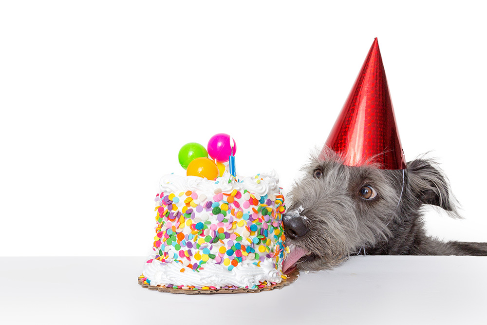 your-birthday-off